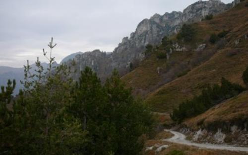 verso cima Rest