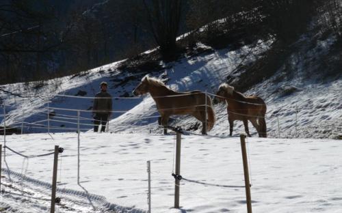 movimento invernale
