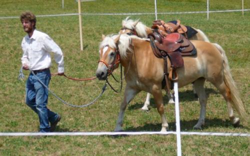 tutto pronto per il primo avvicinamento alla sella