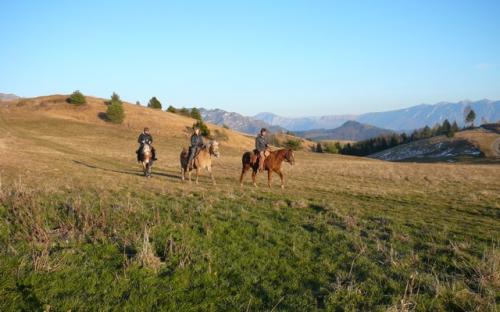 sull'altipiano di Monte Stino: unico