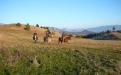 sull'altipiano di Monte Stino: unico